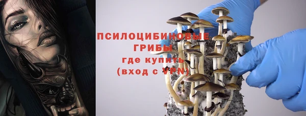 a pvp Богородицк