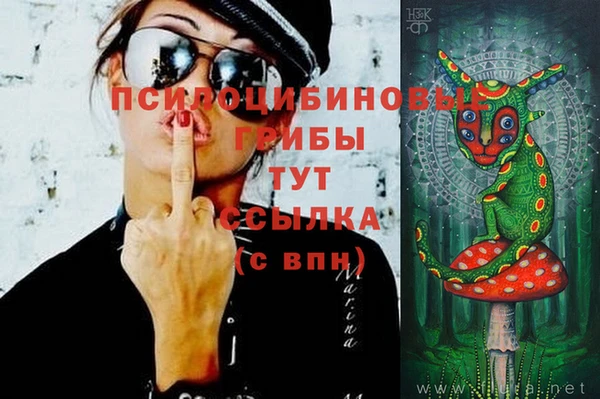 прущая мука Богородск