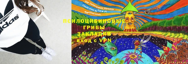 2c-b Богданович