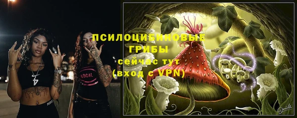 a pvp Богородицк
