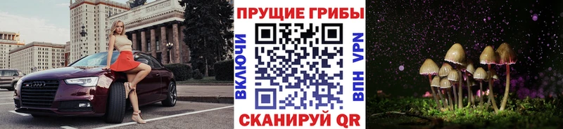 купить наркоту  Улан-Удэ  Псилоцибиновые грибы ЛСД 