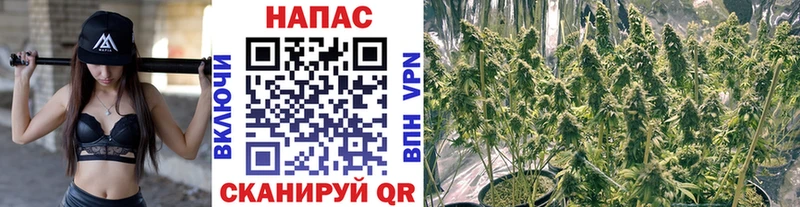 площадка наркотические препараты  Улан-Удэ  Бошки Шишки SATIVA & INDICA  хочу  